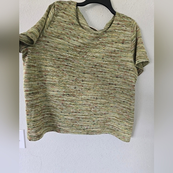 Alfred Dunner Women's Knit Sweater Top 2X Plus Embroidered Pullover Exellent - Picture 4 of 10